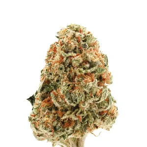 OG Kush