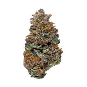 Girl Scout Cookies
