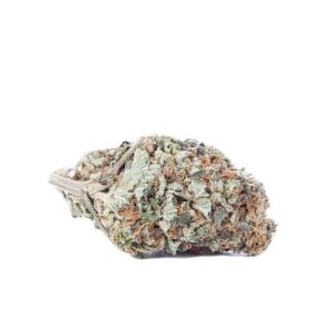 Gelato