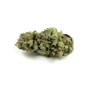 Gorilla Glue