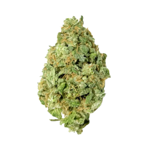 White Widow